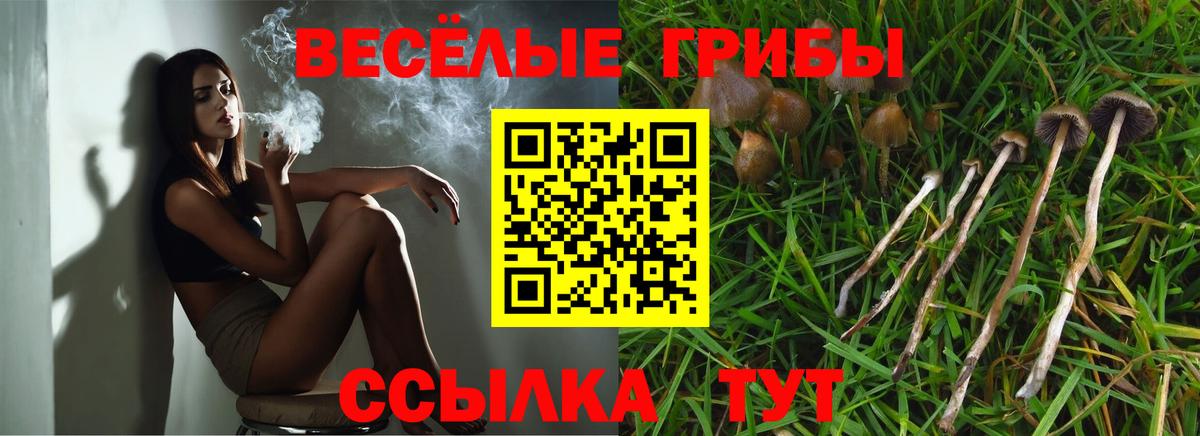 Псилоцибиновые грибы GOLDEN TEACHER  Псилоцибиновые грибы MAGIC MUSHROOMS  Верхняя Салда  Вход с VPN 